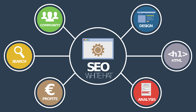 Webshop SEO specialist: de sleutel tot online succes